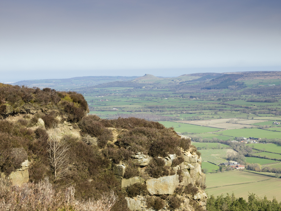 Roseberry Topping from Hasty Bank