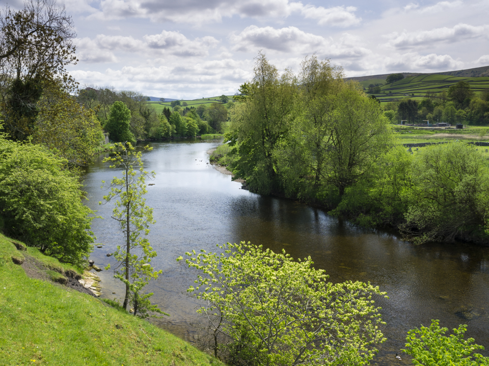 River Wharfe at Linton