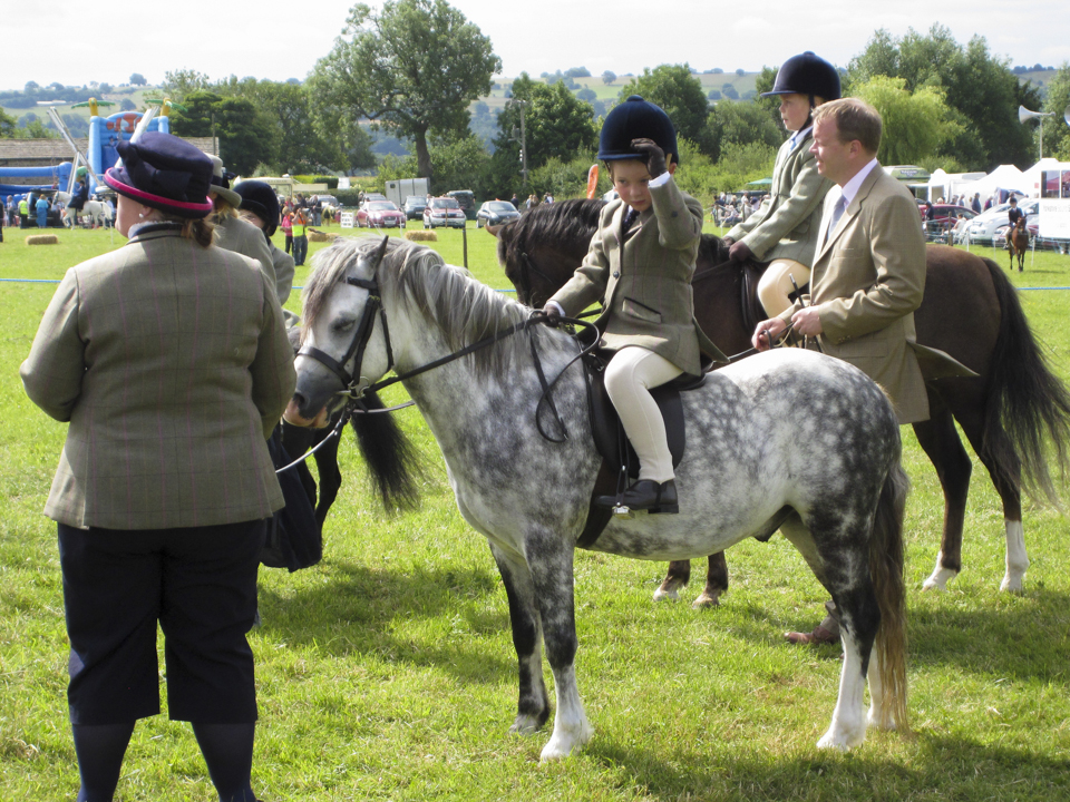 Weeton show, 2015