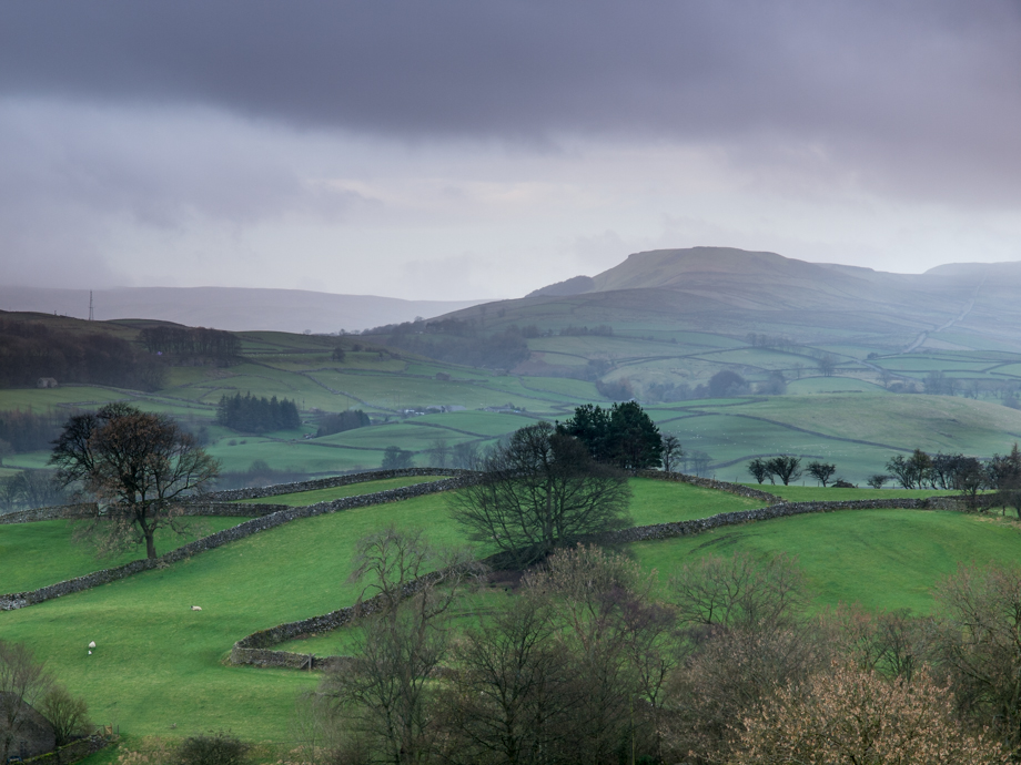 Countryside near Carperby, Wensleydale